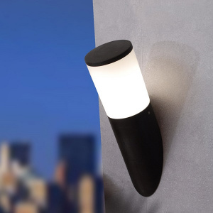 Настенный уличный светильник (DR2.571.000.AYF1L) Fumagalli AMELIA-FS, 1х6W LED-FIL (800 Lm/4000К)