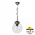 Подвесной уличный светильник FUMAGALLI SICHEM/G250. G25.120.000.BXE27